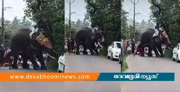 ക്ഷേത്രോത്സവത്തിനിടെ ആന ഇടഞ്ഞു;   ആനപുറത്തിരുന്നവര്‍ രക്ഷപെട്ടത് തലനാരിഴയ്ക്ക്