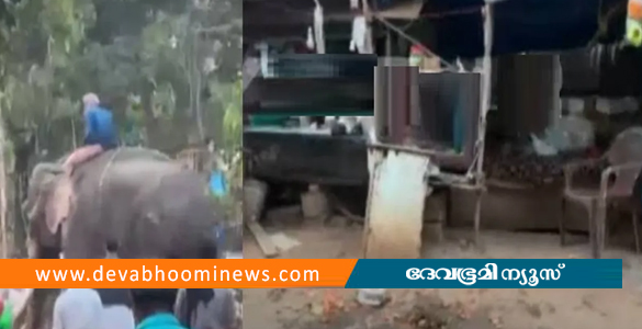 തൃശൂരിൽ ഉത്സവത്തിനെത്തിച്ച ആന ഇടഞ്ഞു; പെട്ടിക്കട തകർത്തു