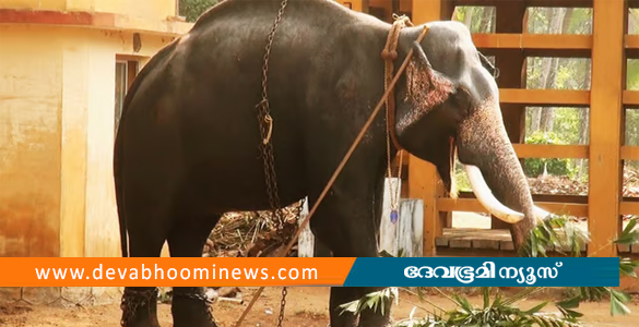 ഗുരുവായൂര്‍ ദേവസ്വത്തിന്‍റെ കൊമ്പൻ കണ്ണൻ ചരിഞ്ഞു