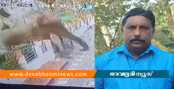 വയനാട്ടിൽ വീട്ടിൽ കയറി കാട്ടാനയുടെ ആക്രമണം: യുവാവിന് ദാരുണാന്ത്യം