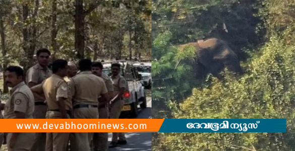 ബേലൂര്‍ മഖ്‌ന മണ്ണുണ്ടി കോളനിക്ക് സമീപം; ട്രാക്ക് ചെയ്തതായി വനം വകുപ്പ്