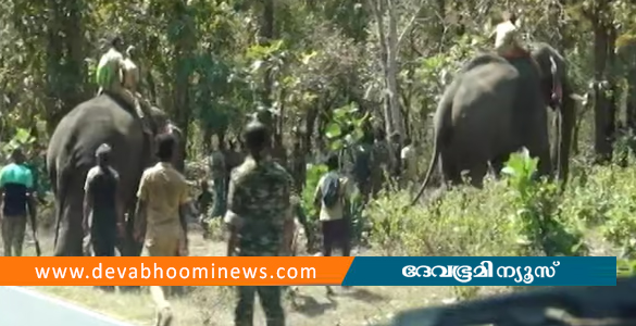 കുങ്കികളെ കാണുമ്പോള്‍ ആന സ്ഥലം മാറുന്നു; മിഷന്‍ ബേലൂര്‍ മഖ്ന നാളെയും തുടരും