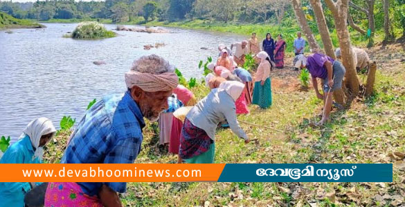 ഭാരതപ്പുഴ പുനരുജ്ജീവന പദ്ധതി: ഗായത്രി പുഴയോരം ശുചീകരണം ആരംഭിച്ചു