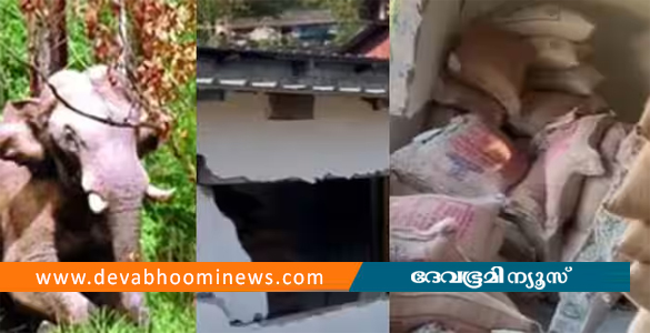 വീണ്ടും ചക്കകൊമ്പൻ: പന്നിയാറിൽ റേഷൻ കട ഇടിച്ചുതകര്‍ത്തു