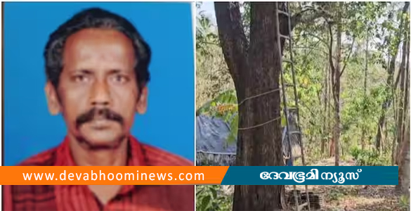 പുളിങ്ങ പറിക്കാൻ കയറിയ വയോധികൻ മരത്തില്‍ നിന്ന് വീണുമരിച്ചു