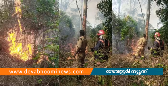 ബത്തേരിയിൽ വൻ കാട്ടുതീ; മുളങ്കൂട്ടങ്ങൾ കൂട്ടത്തോടെ കത്തി നശിച്ചു