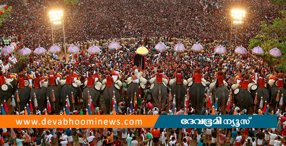 തൃശൂര്‍ പൂരം; ആനകളും പൊതുജനവും തമ്മിലുള്ള അകല പരിധി ആറ് മീറ്ററാക്കി ഹൈക്കോടതി