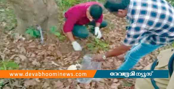 മീന്‍മുട്ടി വനപ്രദേശത്ത് മനുഷ്യാസ്ഥികളും തലയോട്ടിയും കണ്ടെത്തി; പുരുഷന്‍റേതെന്ന് പ്രാഥമിക നിഗമനം