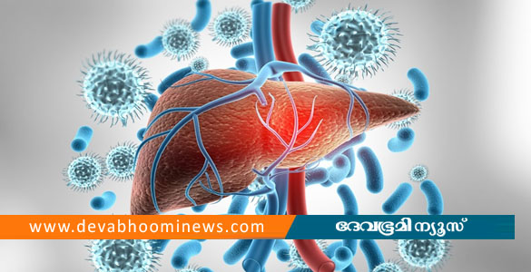 മലപ്പുറത്ത് വൈറല്‍ ഹെപ്പറ്റൈറ്റിസ് പടരുന്നു; അഞ്ച് മാസത്തിനിടെ ഏഴ് മരണം