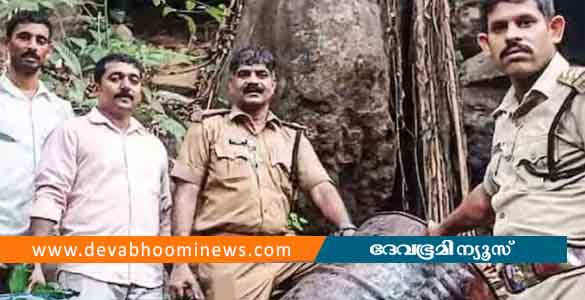 നിലമ്പൂരിൽ പാറക്കൂട്ടങ്ങള്‍ക്കിടയില്‍ കലക്കി സൂക്ഷിച്ച 305 ലിറ്റർ വാഷും വാറ്റുപകരണങ്ങളും പിടികൂടി