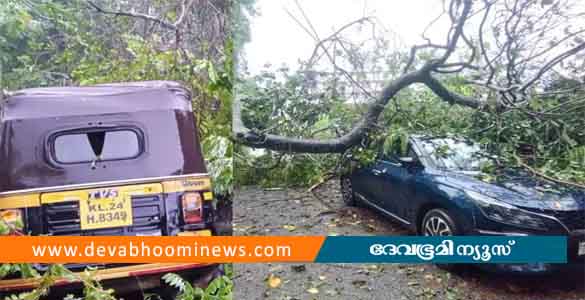 കനത്ത മഴ: പാറശ്ശാലയില്‍ വാഹനങ്ങള്‍ക്ക് മുകളിലേക്ക് മരംവീണു, വൈദ്യുതി ലൈന്‍ തകര്‍ന്നു