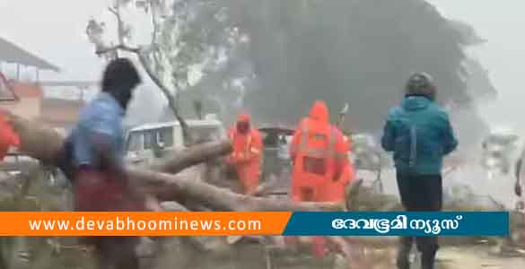 ശക്തമായ മഴ: ചേര്‍ത്തല ദേശീയപാതയില്‍ മരം കടപുഴകി വീണ് ഗതാഗത തടസം