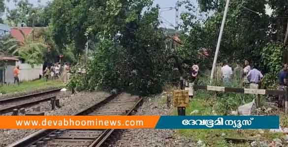 എറണാകുളത്ത് റെയിൽവെ പാളത്തിലേക്ക് മരം വീണു; ട്രെയിൻ ഗതാഗതം തടസ്സപ്പെട്ടു