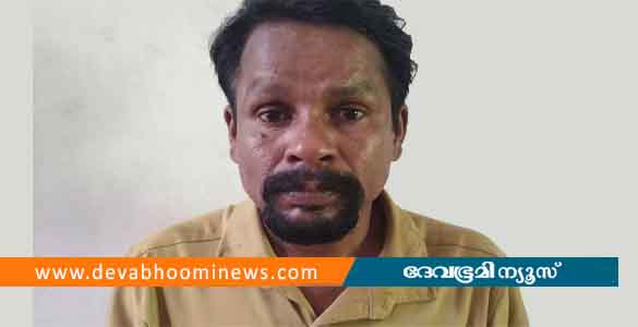 വയോധികയെ ആക്രമിച്ച് സ്വര്‍ണമാല കവര്‍ന്നു; പ്രതിയായ ഓട്ടോ ഡ്രൈവര്‍ പിടിയില്‍