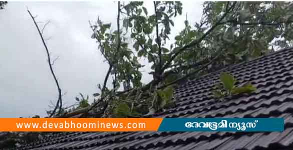 പാലക്കാട് സ്കൂൾ കെട്ടിടത്തിന് മുകളിലേക്ക് മരം വീണു; മേൽക്കൂര പൂര്‍ണമായി തകര്‍ന്നു