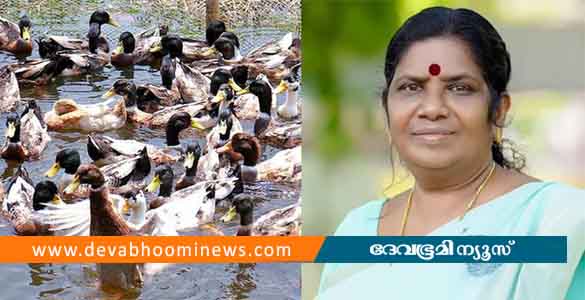 ആലപ്പുഴയില്‍ 2025 വരെ പക്ഷി വളര്‍ത്തലിന് നിരോധനം ഏര്‍പ്പെടുത്തേണ്ടി വരും- മന്ത്രി ജെ ചിഞ്ചുറാണി