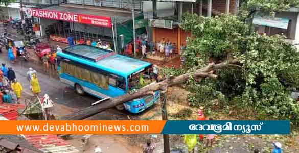 മലപ്പുറത്ത് ഓടിക്കൊണ്ടിരുന്ന ബസിന് മുകളിലേക്ക് മരം വീണു; കണ്ടക്ടർക്ക് പരിക്ക്