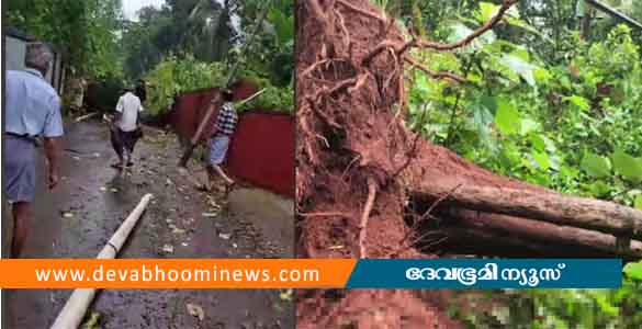 കോഴിക്കോട് മിന്നല്‍ ചുഴലിക്കാറ്റ്; അഞ്ച് വീടുകള്‍ തകര്‍ന്നു, നിരവധി മരങ്ങള്‍ കടപുഴകി വീണു