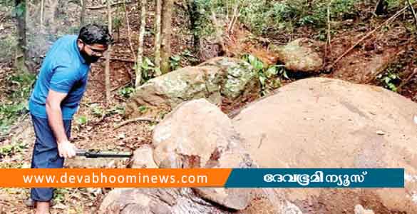 കോന്നി വനം ഡിവിഷനില്‍ മൂന്ന് കാട്ടാനകളെ ചരിഞ്ഞ നിലയില്‍ കണ്ടെത്തി