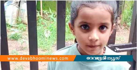 പാലക്കാട് സ്‌കൂള്‍ ബസ് ഇടിച്ച് യുകെജി വിദ്യാര്‍ഥിനിക്ക് ദാരുണാന്ത്യം