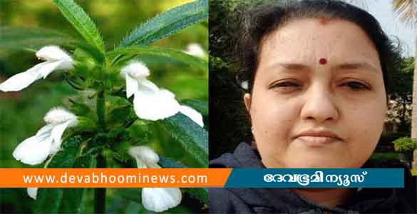 ഭക്ഷ്യവിഷ ബാധയേറ്റ് യുവതി മരിച്ചു; തുമ്പ ചെടി കൊണ്ടുള്ള തോരന്‍ കഴിച്ചിട്ടെന്ന് സംശയം