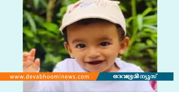 കളിക്കുന്നതിനിടയില്‍ ഗേറ്റ് ദേഹത്തേക്ക് മറിഞ്ഞു; രണ്ടര വയസ്സുകാരന് ദാരുണാന്ത്യം